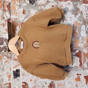 Mini Folk Fleece Sweatshirt 3T